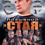 Позывной «Стая» Постер